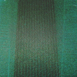 Bandă magnetică 30x0,6 mm verde