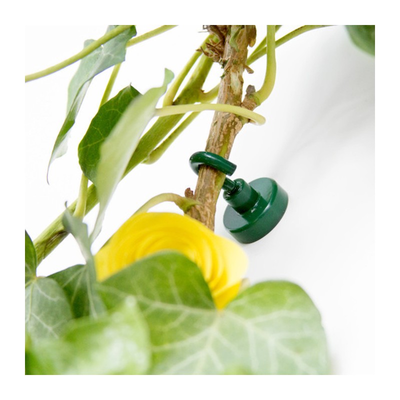 Oală magnetică cu cârlig (cârlig magnetic) diam. 25 N verde