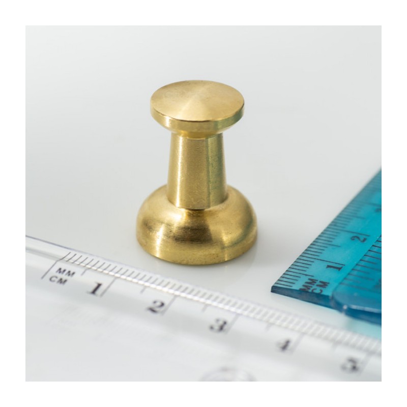 Magnet în carcasă metalică aurie