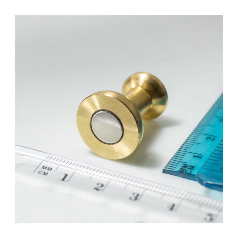 Magnet în carcasă metalică aurie